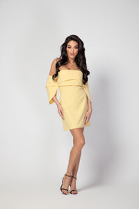 Heidi Mini Dress
