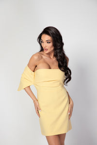 Heidi Mini Dress